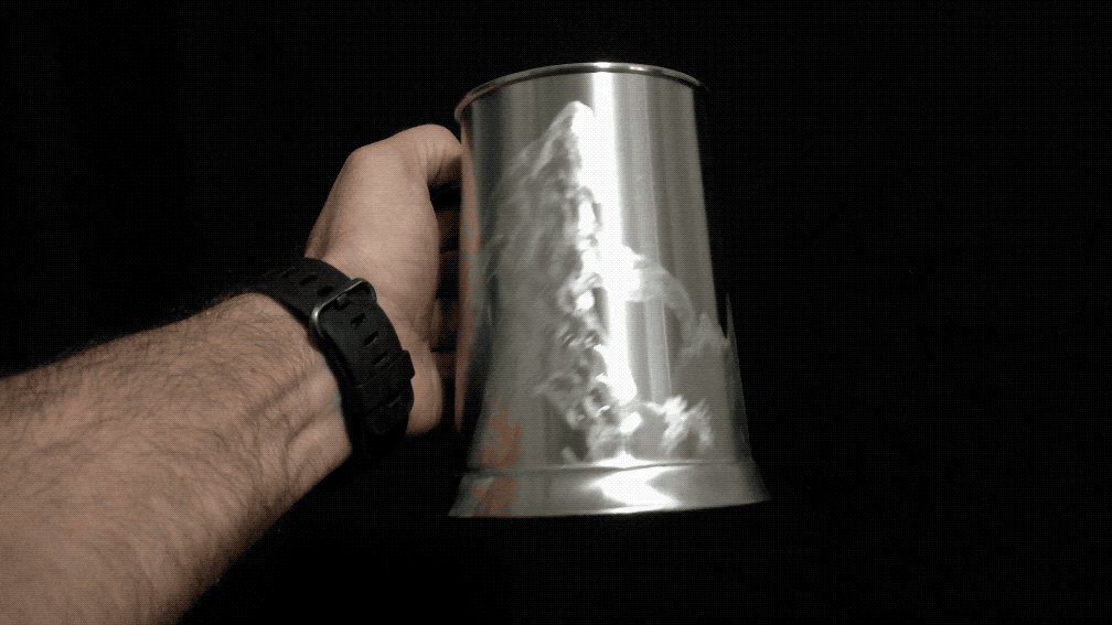 Stein_BF.gif