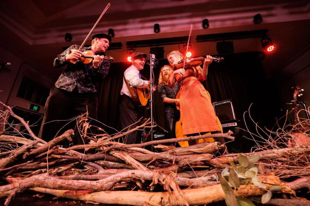 the black mountains string band live tathra hotel 1024.jpeg