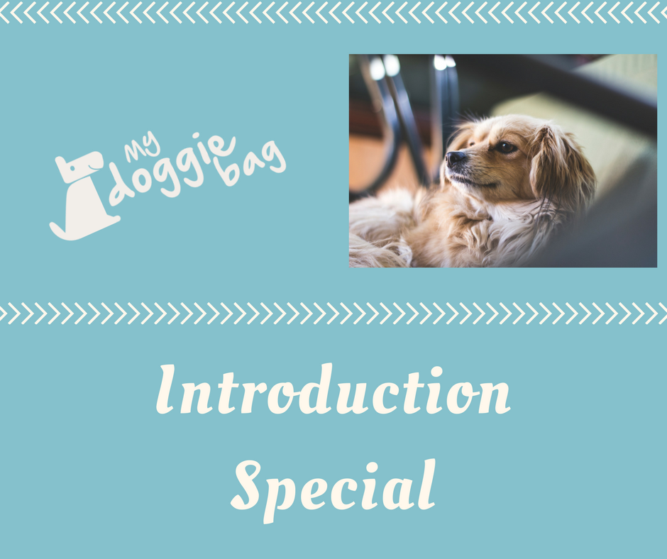 Introduction Special Because we love what we do and because you love your dog ( ideal combination) you recieve 50% off, if you order two boxes of the same size for your first order. This way you can share it with a f.png