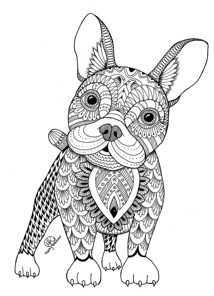 adult-coloring-pages-mandala-printable-dog-free.jpg