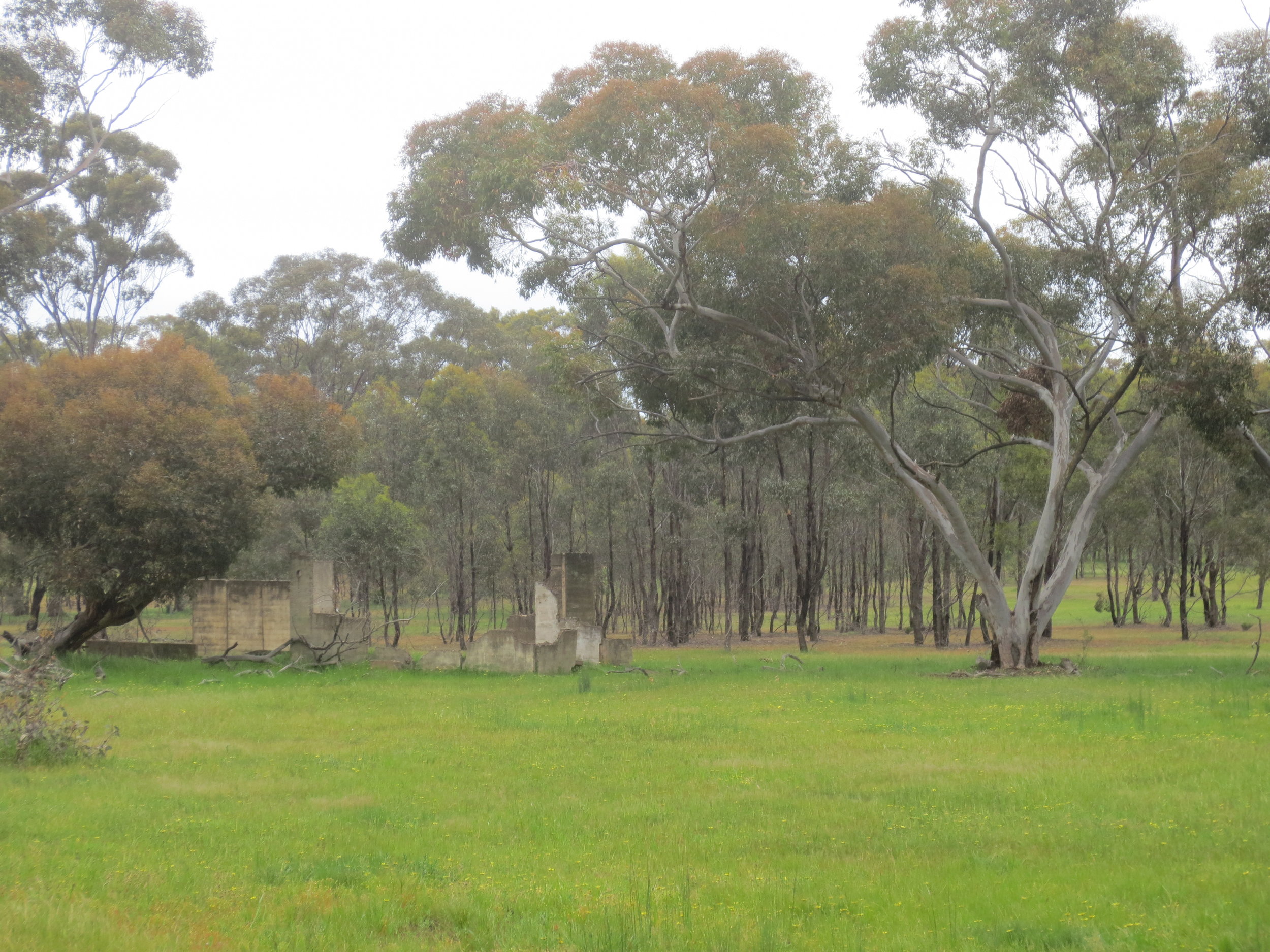 Remains of a camp at Tatura (Image © Anoma Pieris)