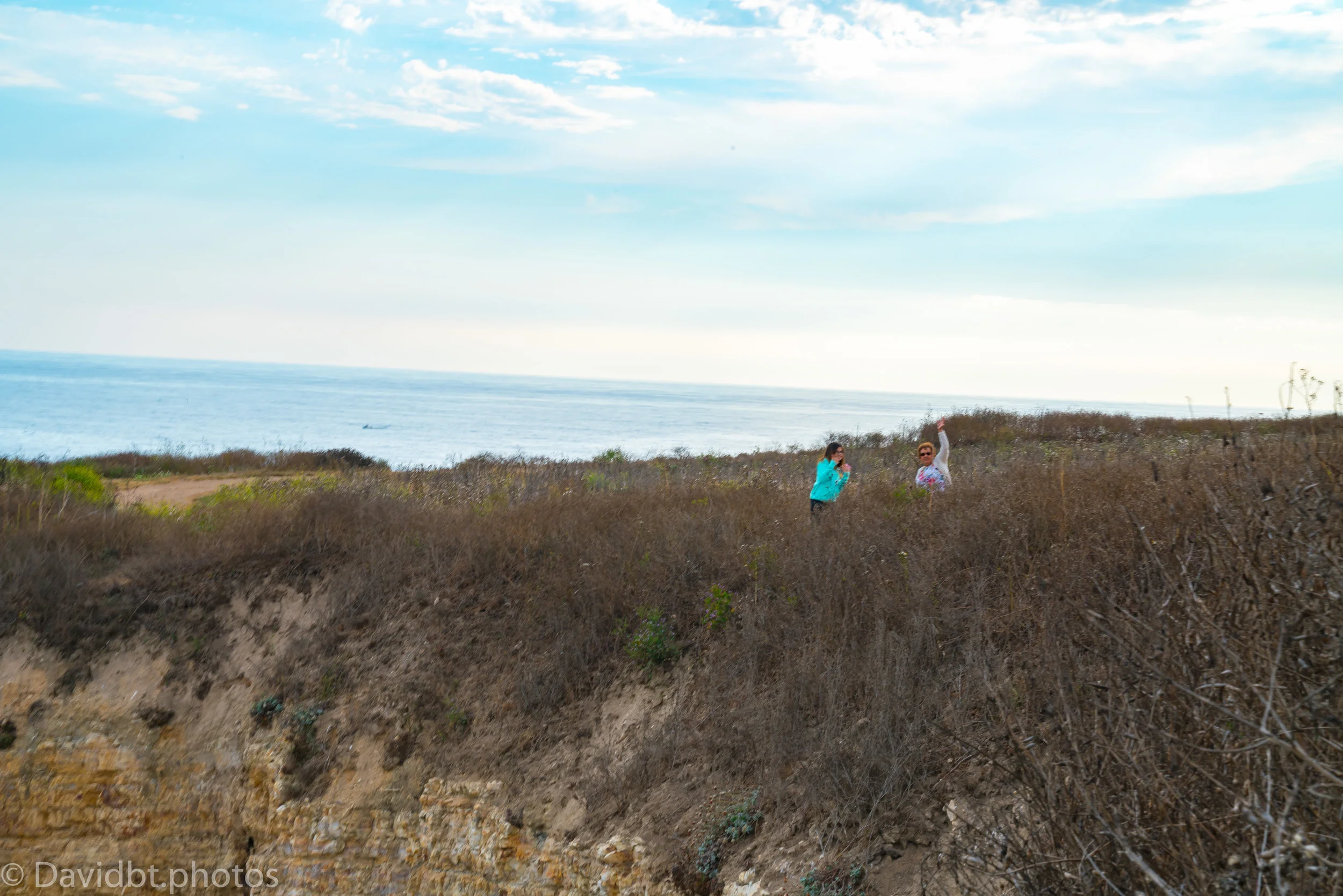 SantaCruz-00120.jpg