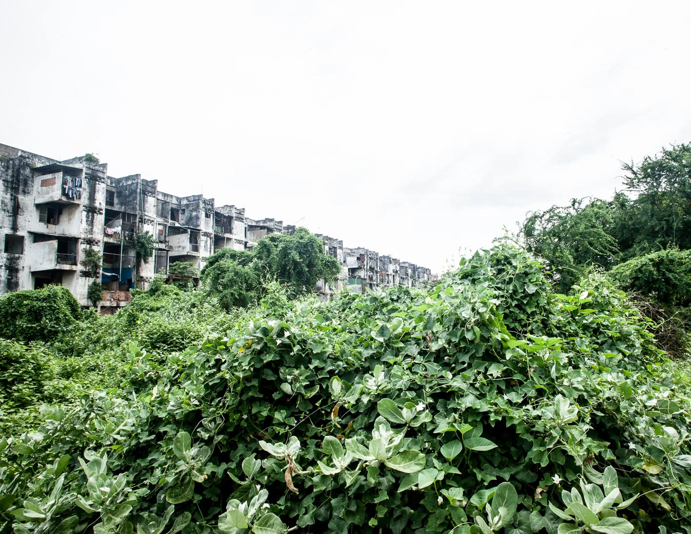 White_building_merja_Yeung-6598.jpg