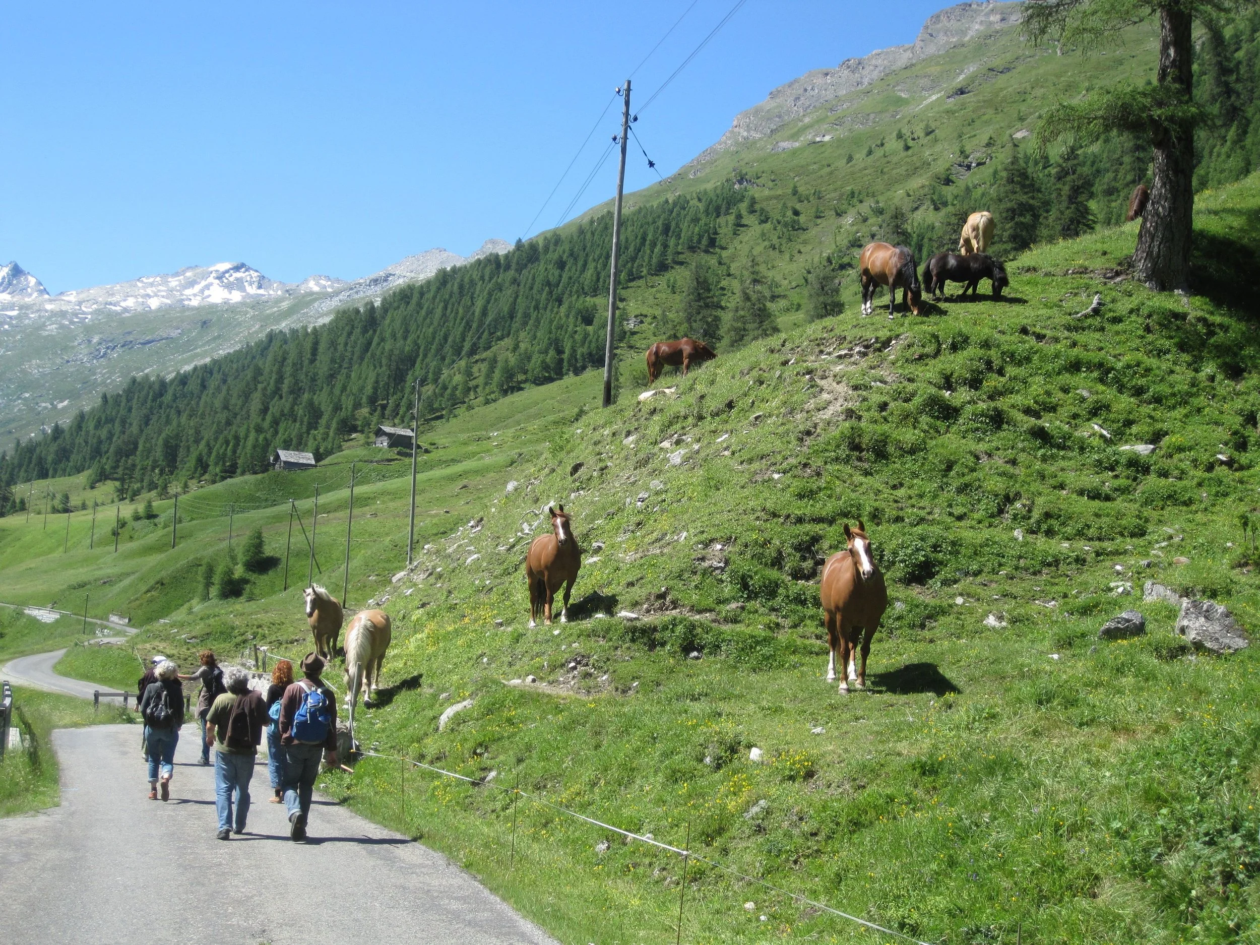 19 2011_Wanderung_Madris2.jpg