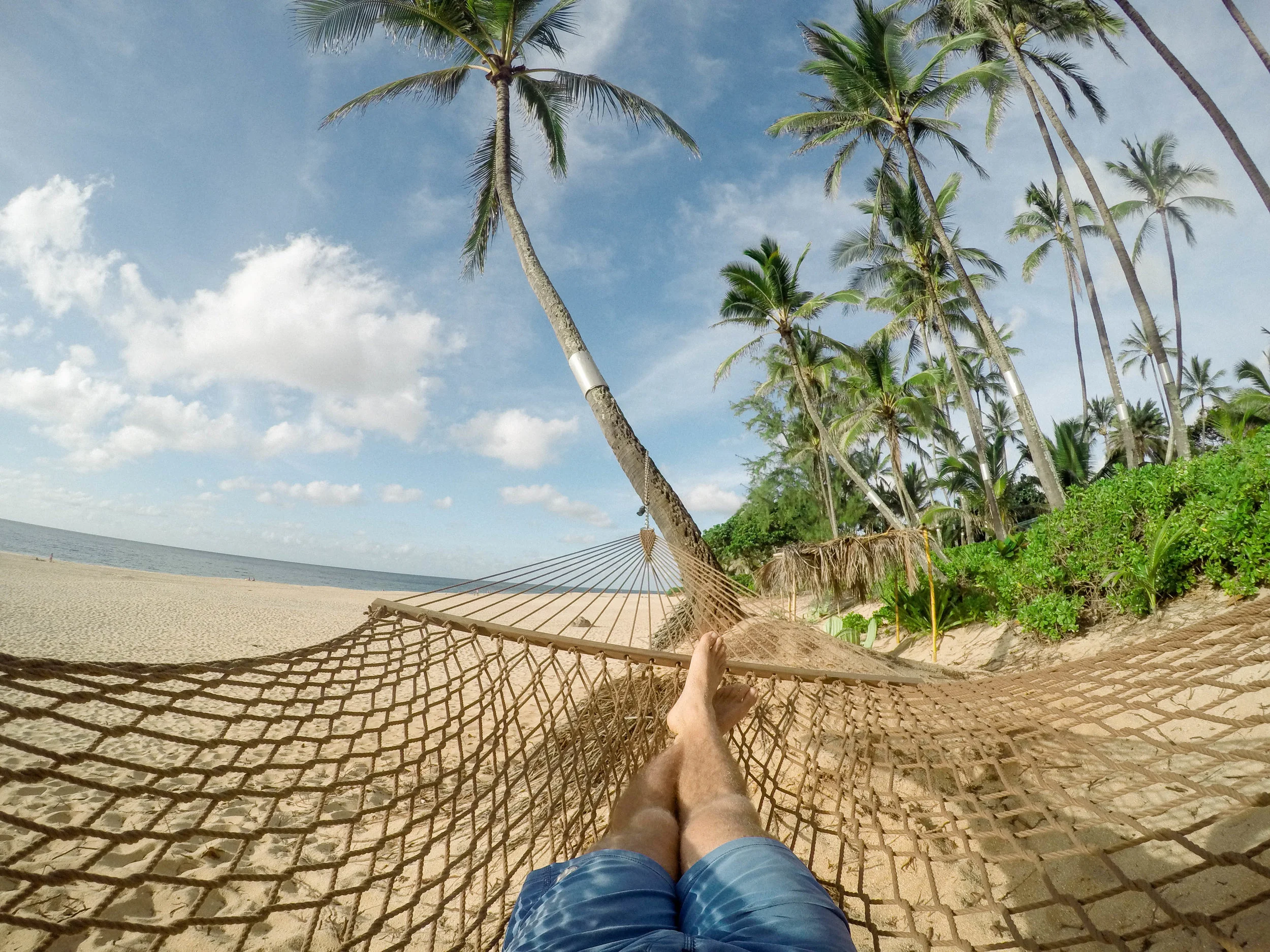 Passive Investing Is Dumb and Unethical…Or Is It?