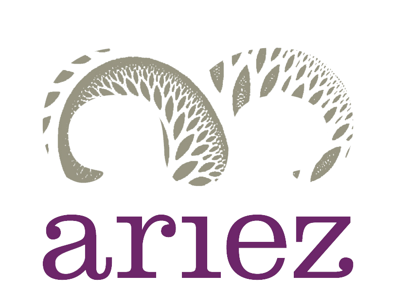 Ariez-logo.png