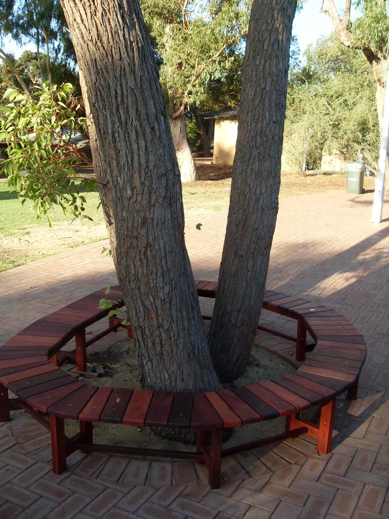 c33 Tree bench 4.JPG