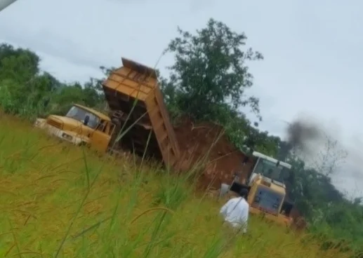 group five and hobecon removing anthills 