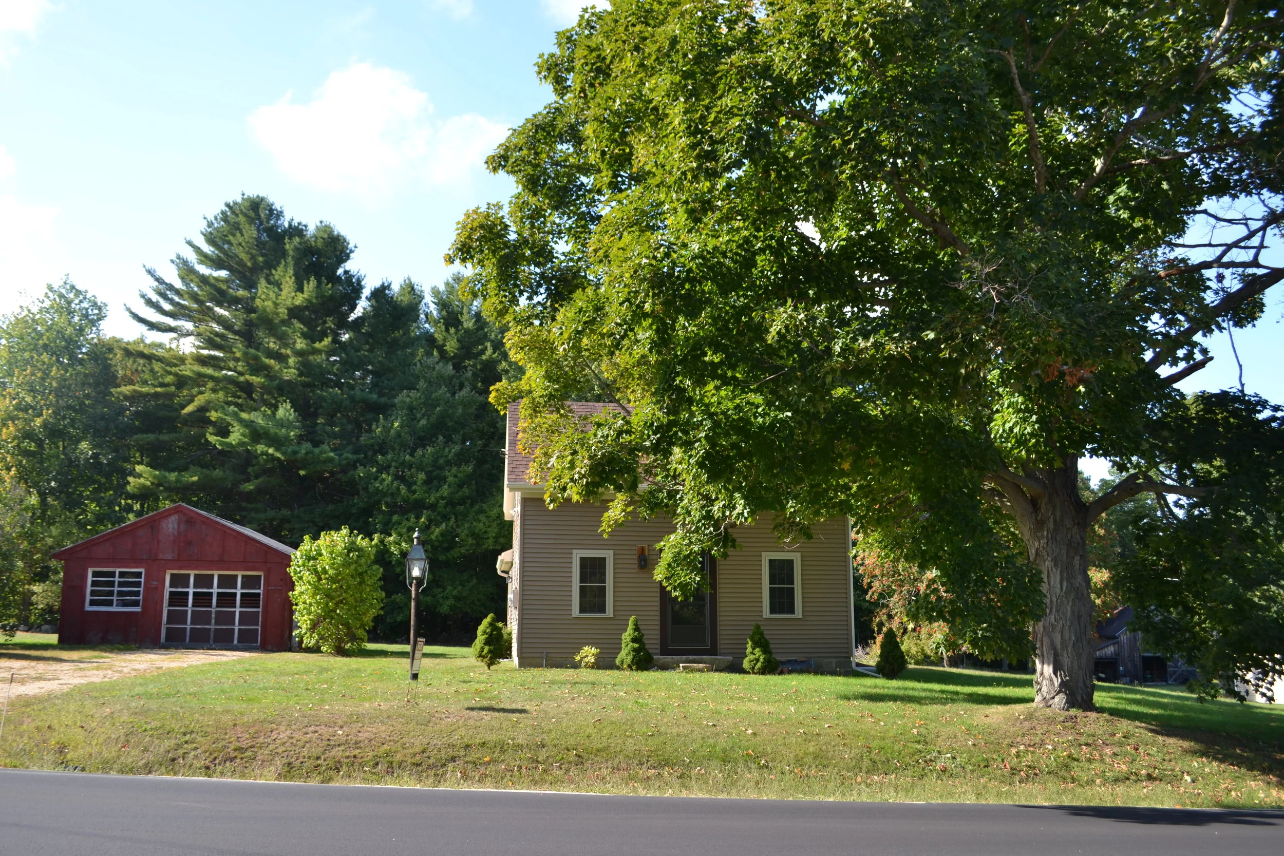 DSC_0928(1)[1].JPG