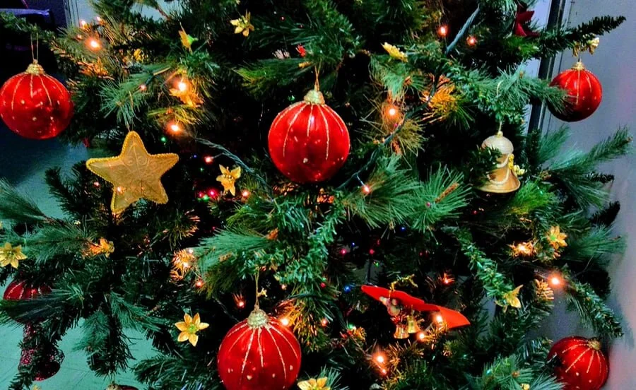 Christmas Celebrations: Special Fun Meeting