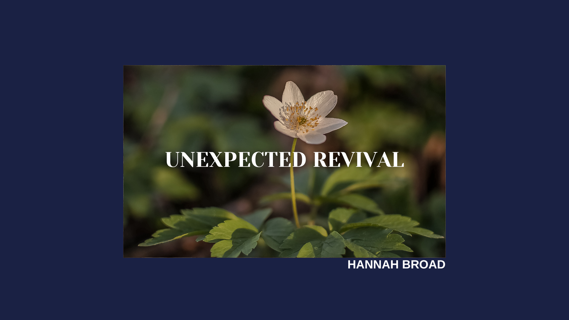 Unexpected Revival — Catch the Fire Bournemouth