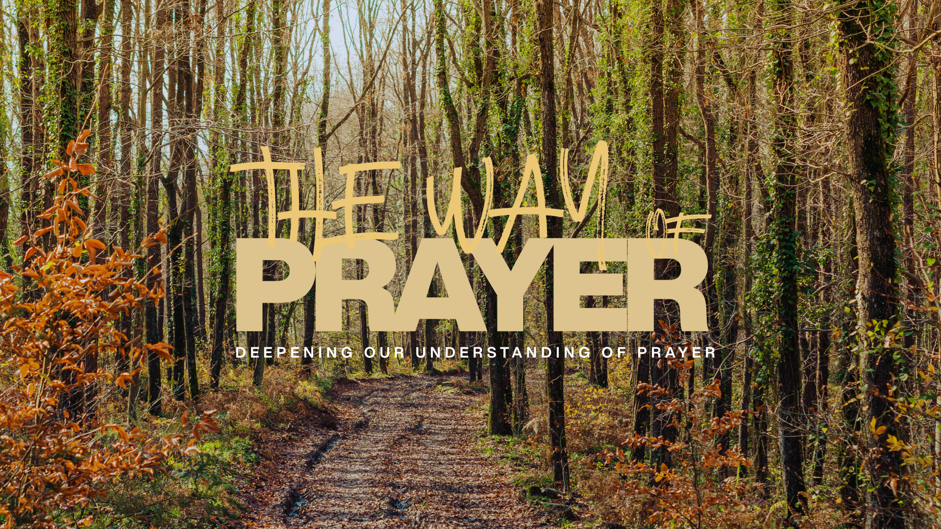 THE WAY OF PRAYER - INTRO ADELE RICHARDS