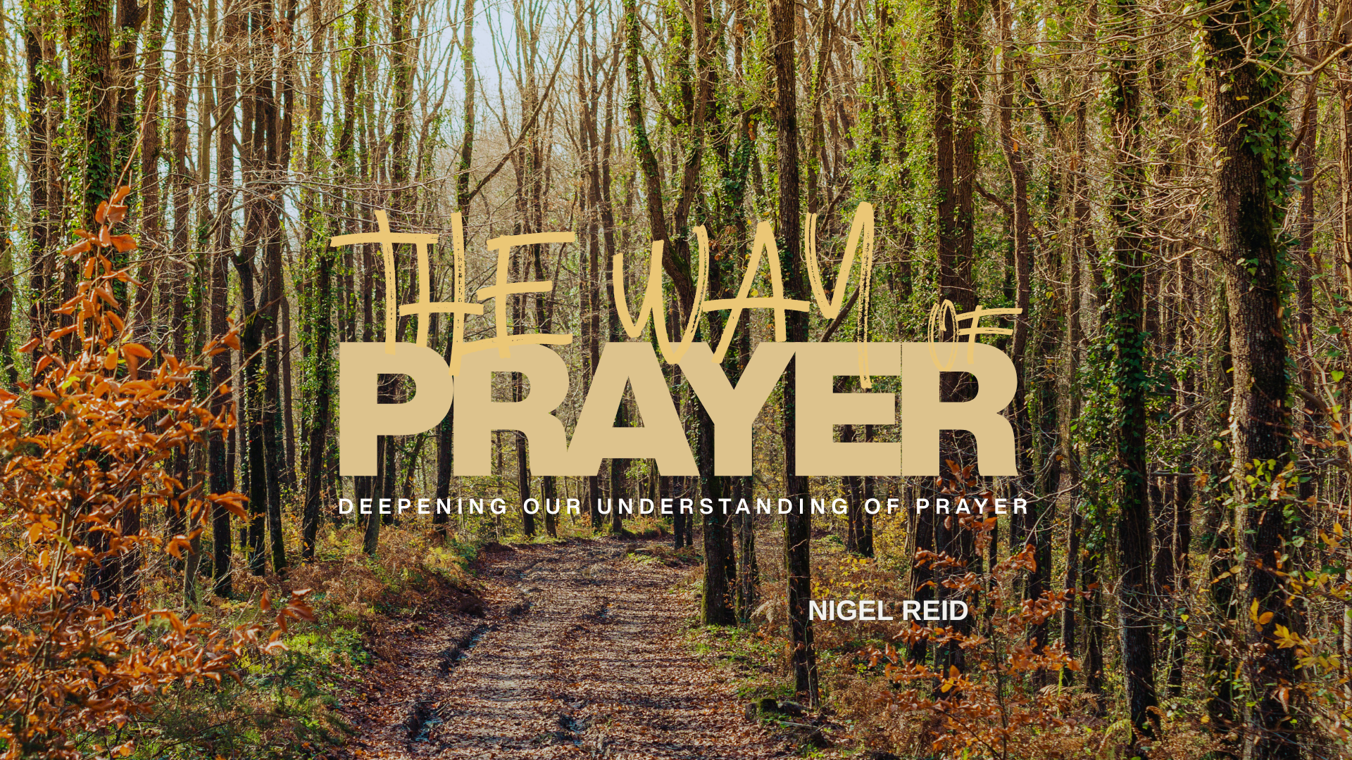 THE WAY OF PRAYER - THROUGH THE WILDERNESS 