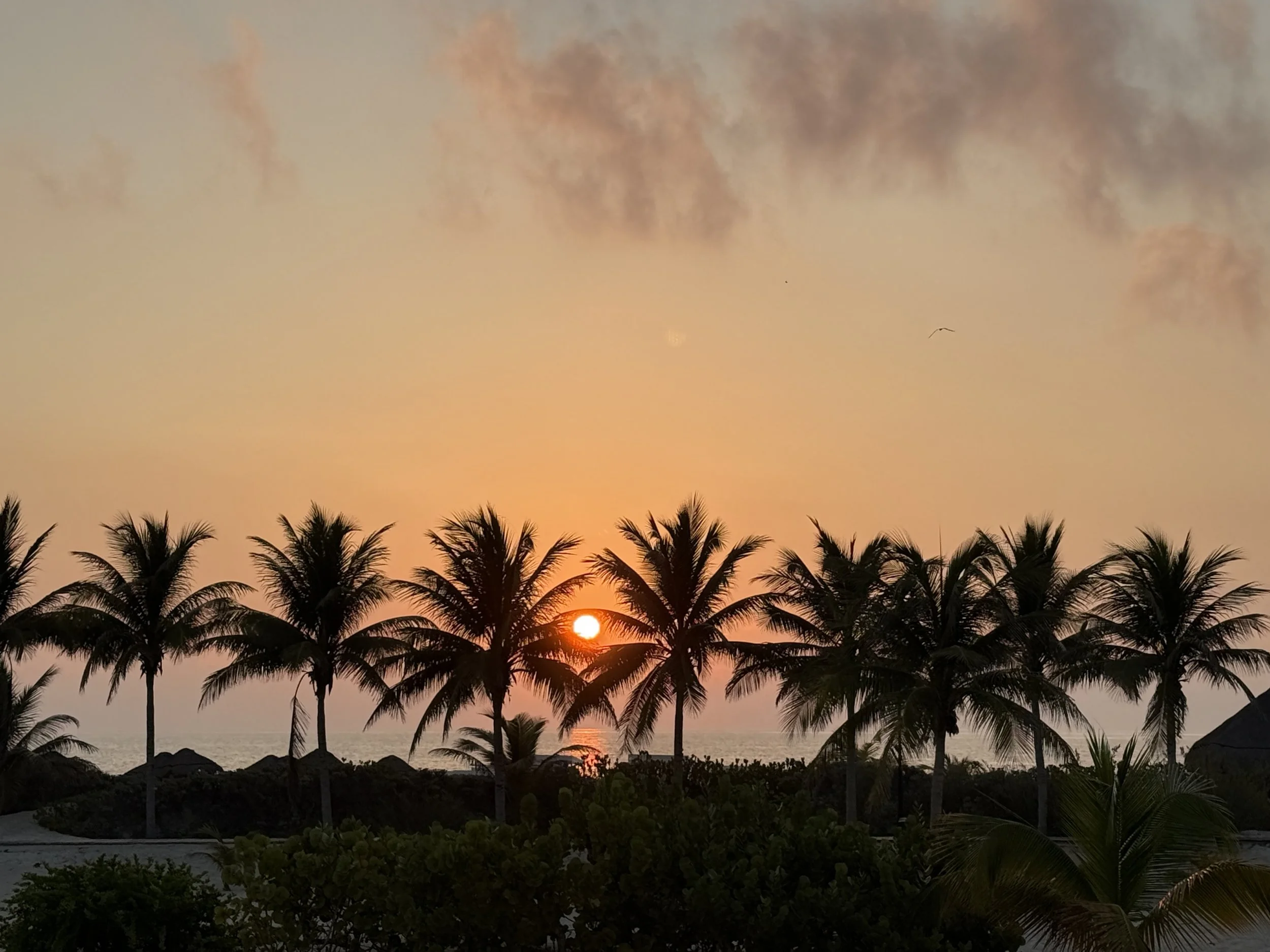 SEU Conference 2026 // Payment Plan // Remote and Hybrid