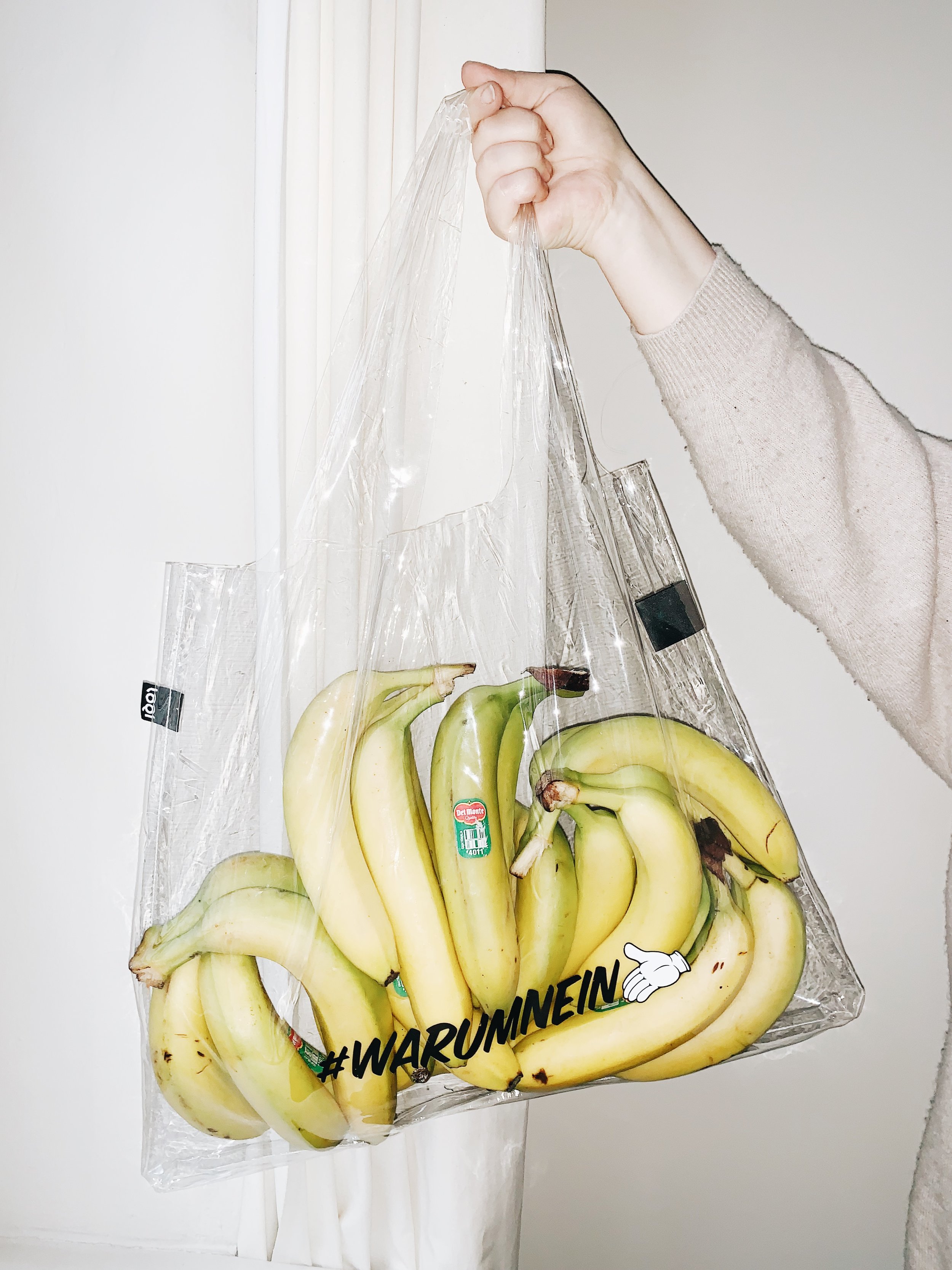 LOQI+x+Herz&Blut-+#WARUMNEIN+Special+Edit+Bag-2.jpeg