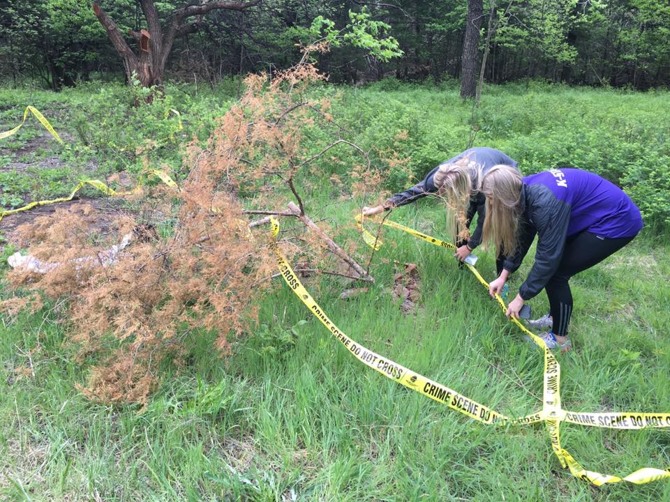 Forensic students learning about crime scenes.