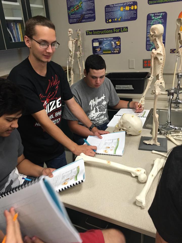 Students examine replica skeletal models for anatomy classes.