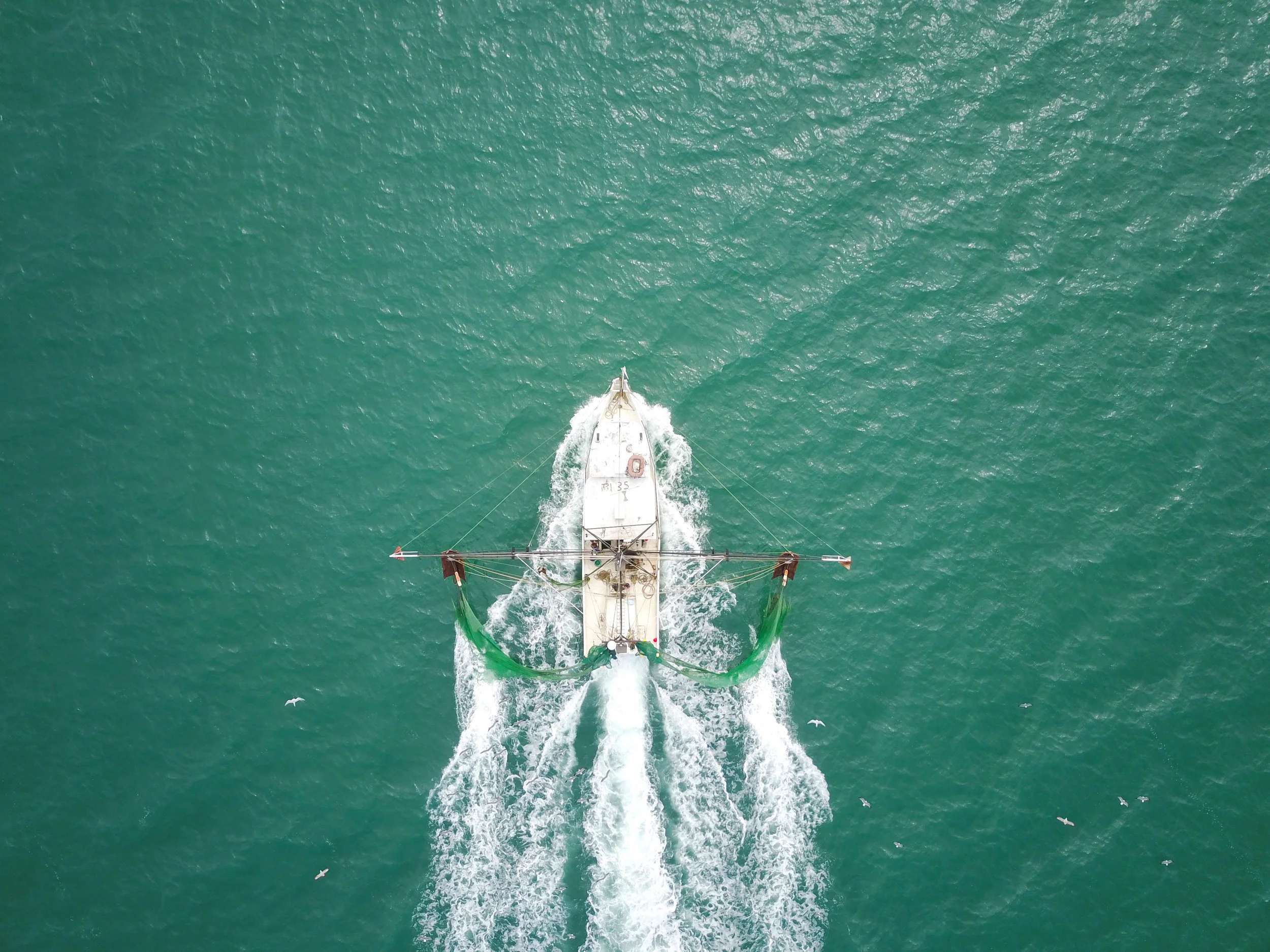 shrimpboatld1.jpg