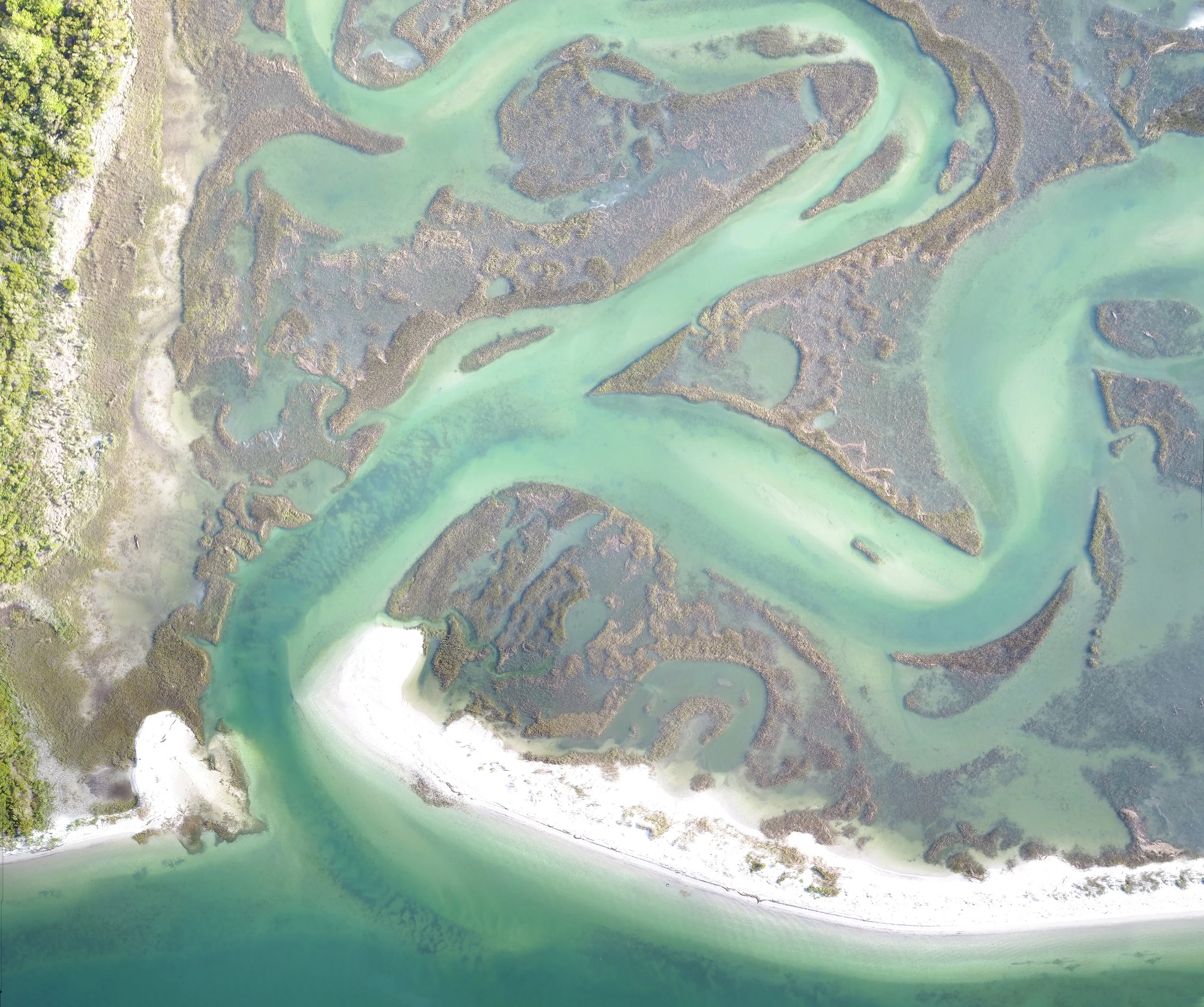ShinCreek20x24.jpg
