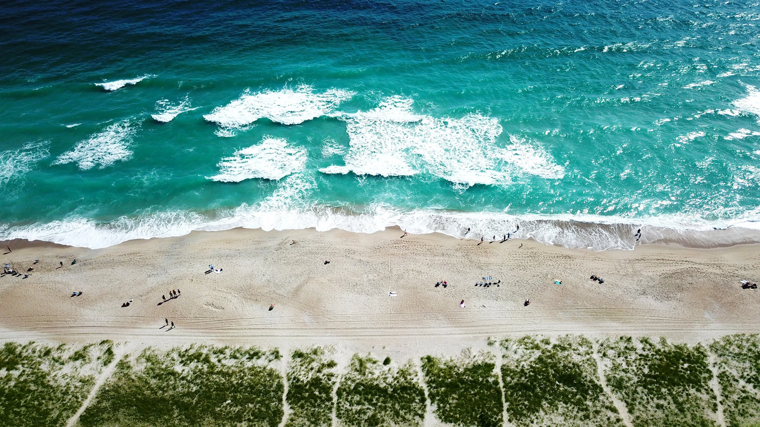 Octbeachday.jpg