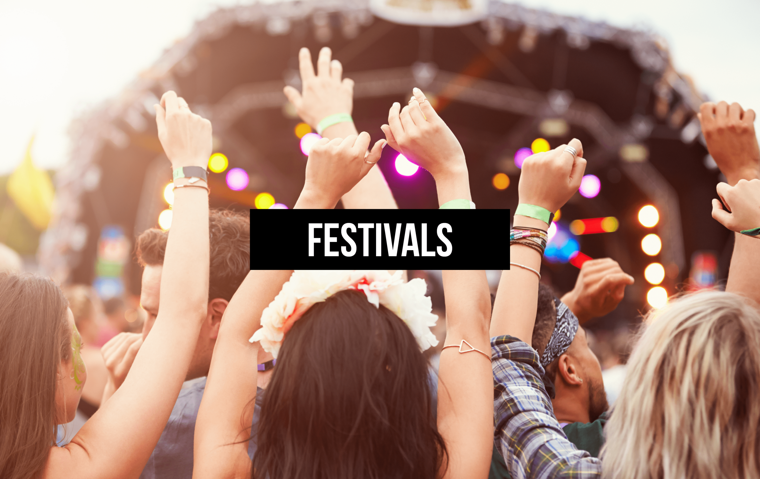Festivals Header-min.png