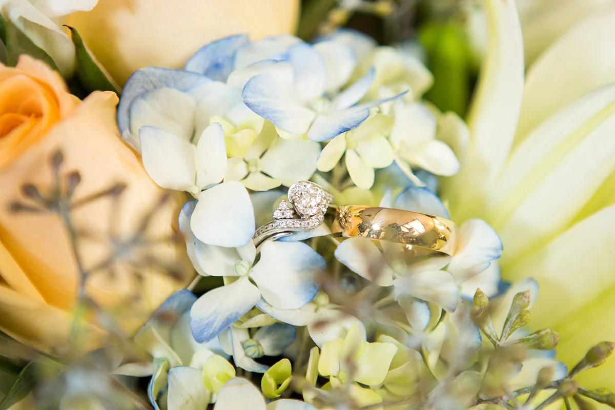 johnstonweddingphoto.com-placerville-wedding-8968.jpg