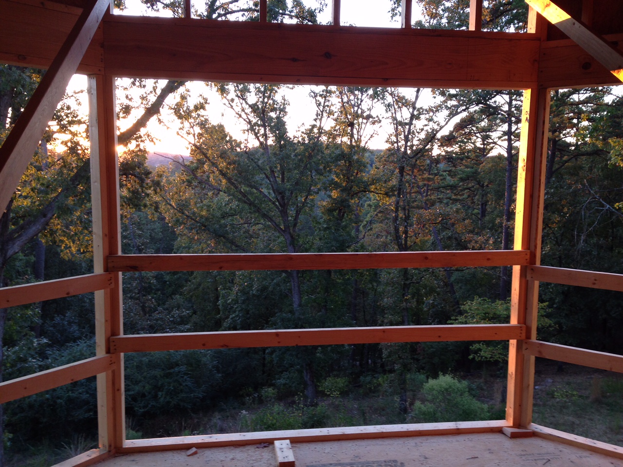 Zoe's view
