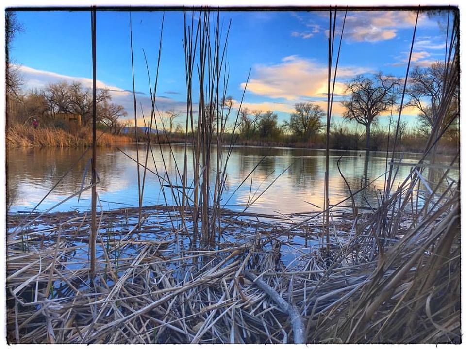 Still waters in Chaos... photography by Joanna ES Campbell