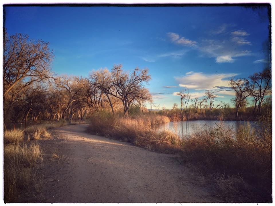 Path out of wilderness along the water.. joanna es campbell