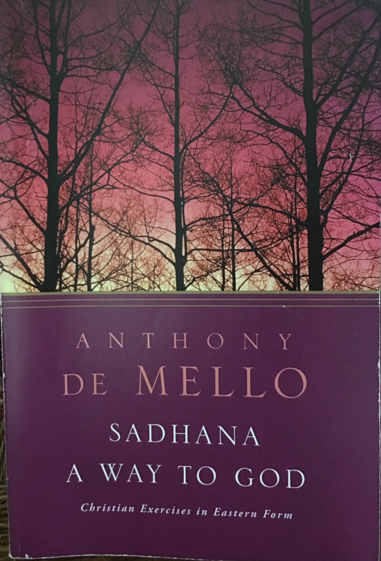 demello sadhana copy.jpeg