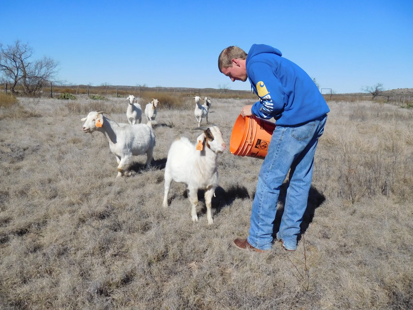 Hayden Thorp - Ranch Manager 