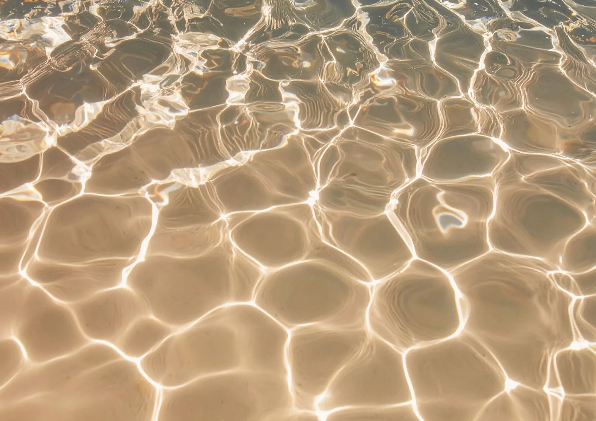 TRE The Fluid Mid Line: Awakening the Intelligence of the Psoas