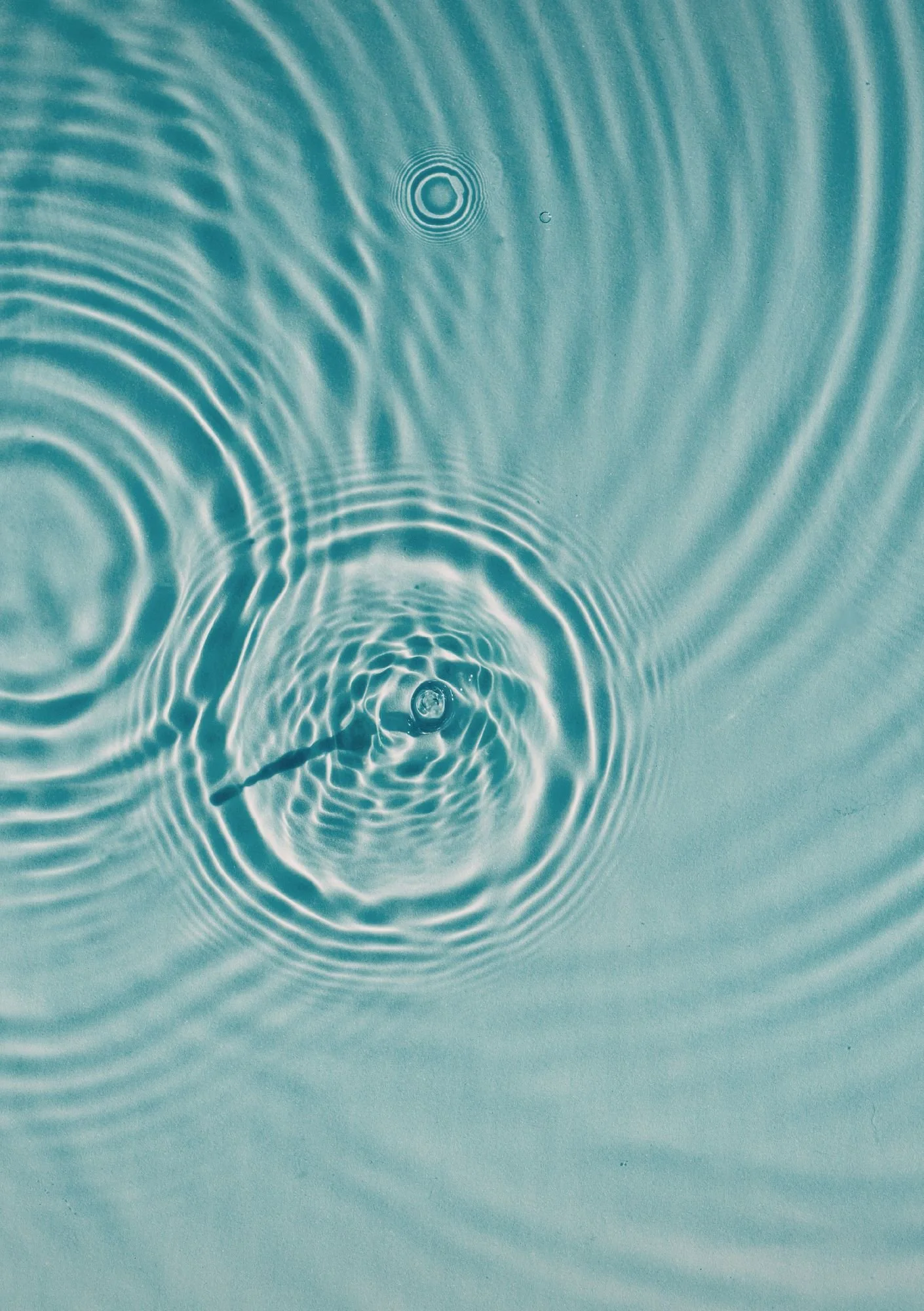 The Physiology of Trauma: How the Nervous System Learns Protection - and Finds Safety Again&nbsp;
