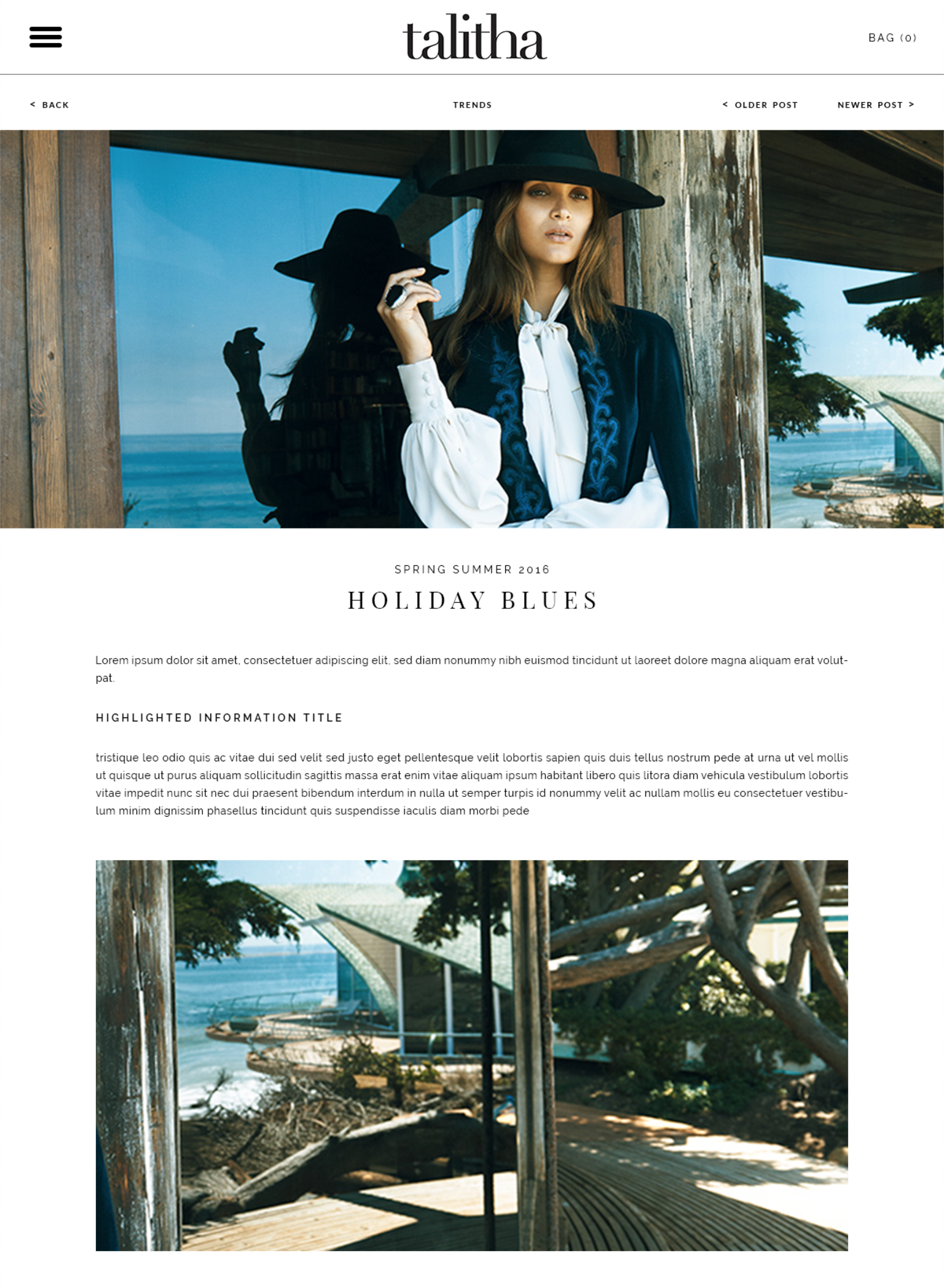 Blog post template 1