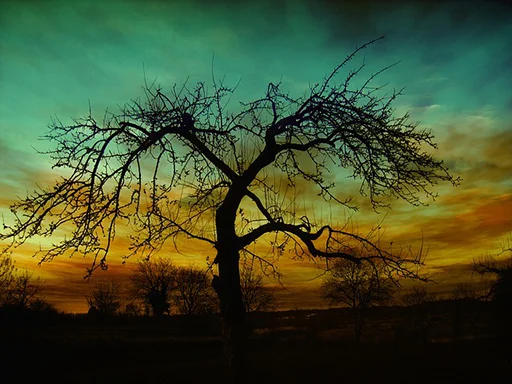Barren-tree.jpg
