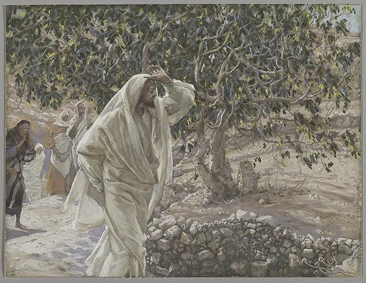 The Accursed Fig Tree