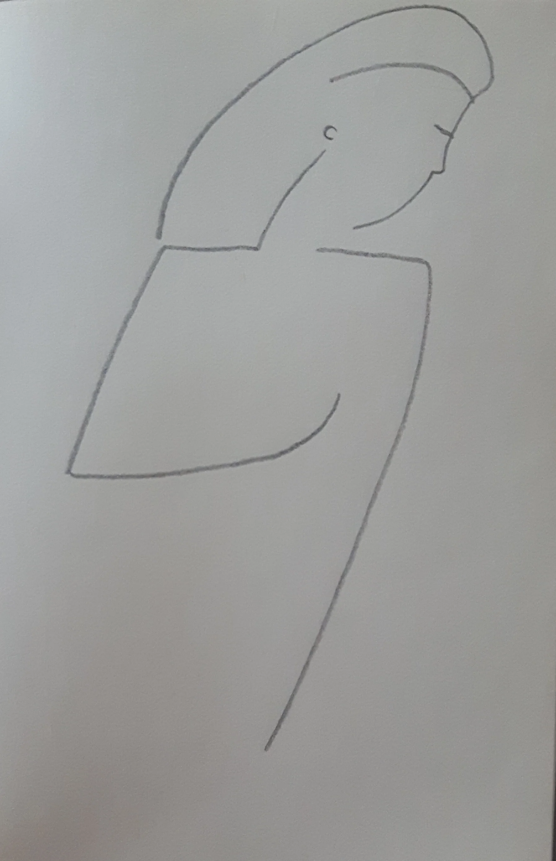 20190227_093135.jpg