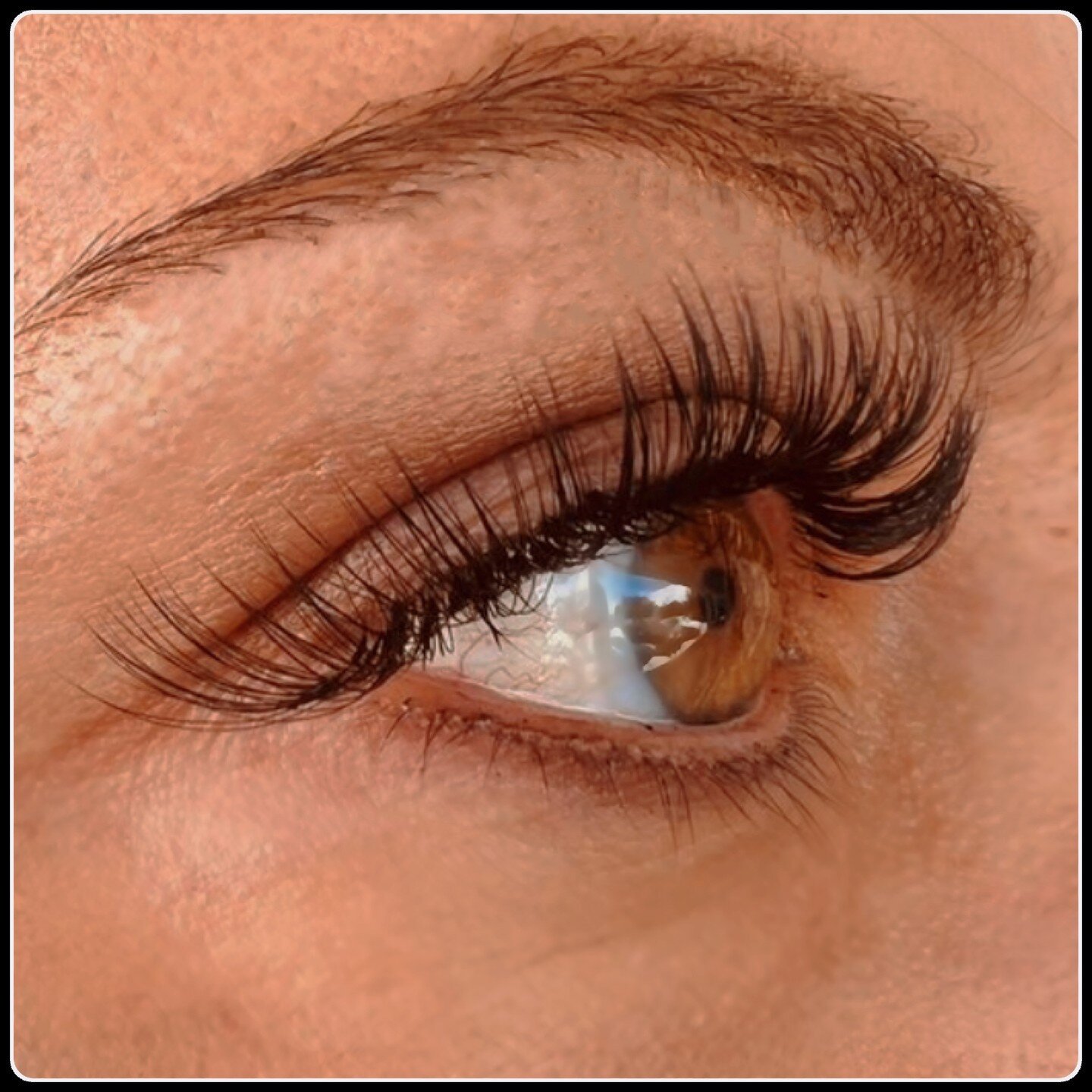 VoMor Aveda Hair & Lash Extensions