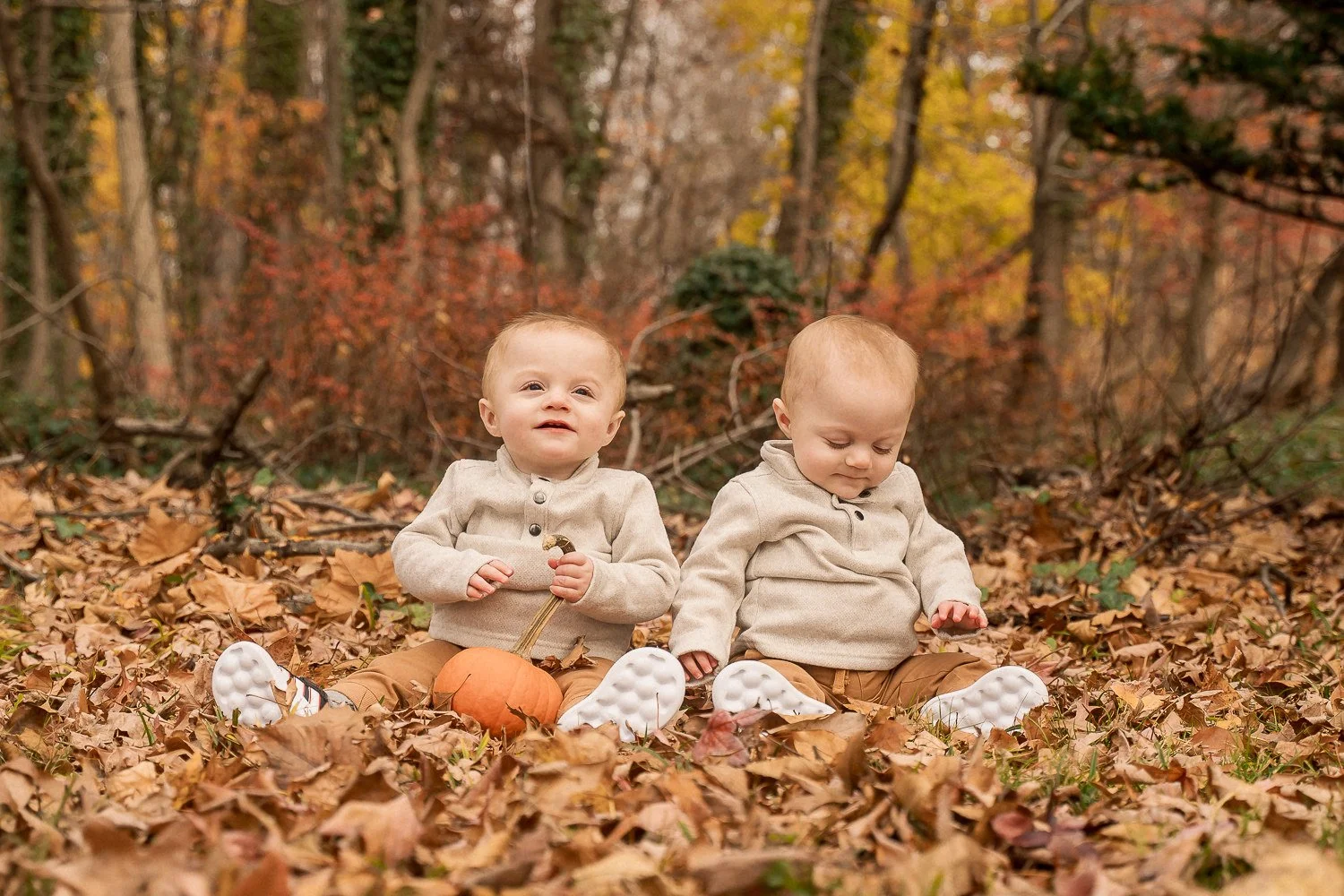 18-teresa-mansbach-twin-babies-seated-together-in-autumn-leaves-id-167.jpg