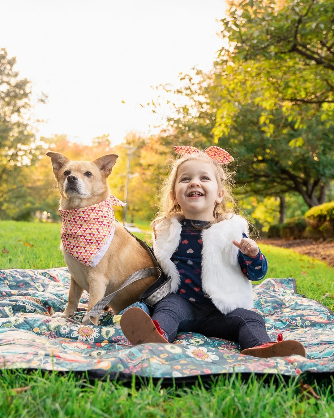 13-teresa-mansbach-young-child-laughing-beside-a-dog-on-a-picnic-blanket-id-246.jpg