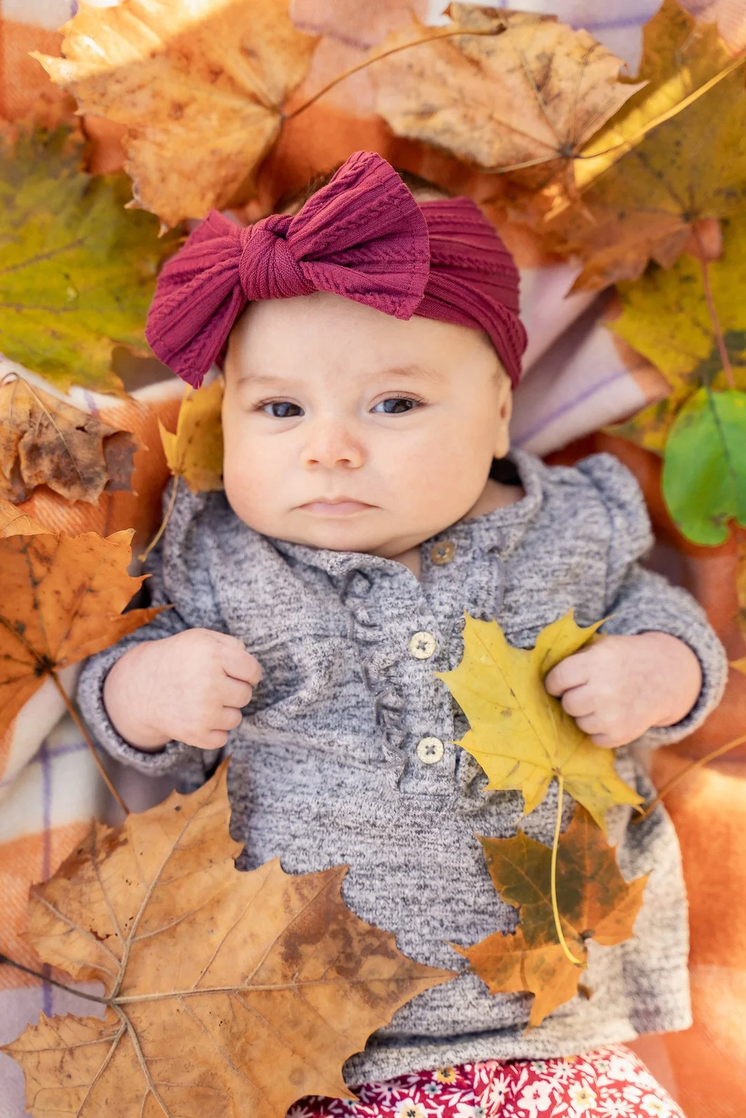 11-teresa-mansbach-baby-lying-in-autumn-leaves-cranford-nj-id-131.jpg