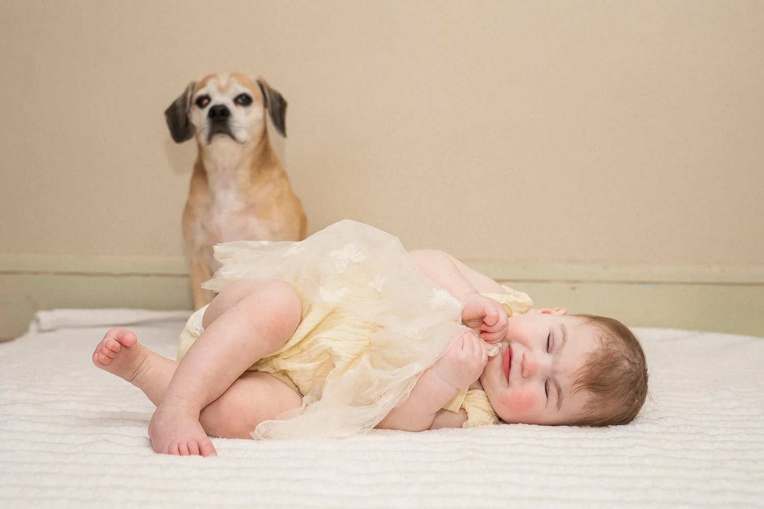 20-teresa-mansbach-sleeping-baby-with-a-small-dog-nearby-id-222.jpg