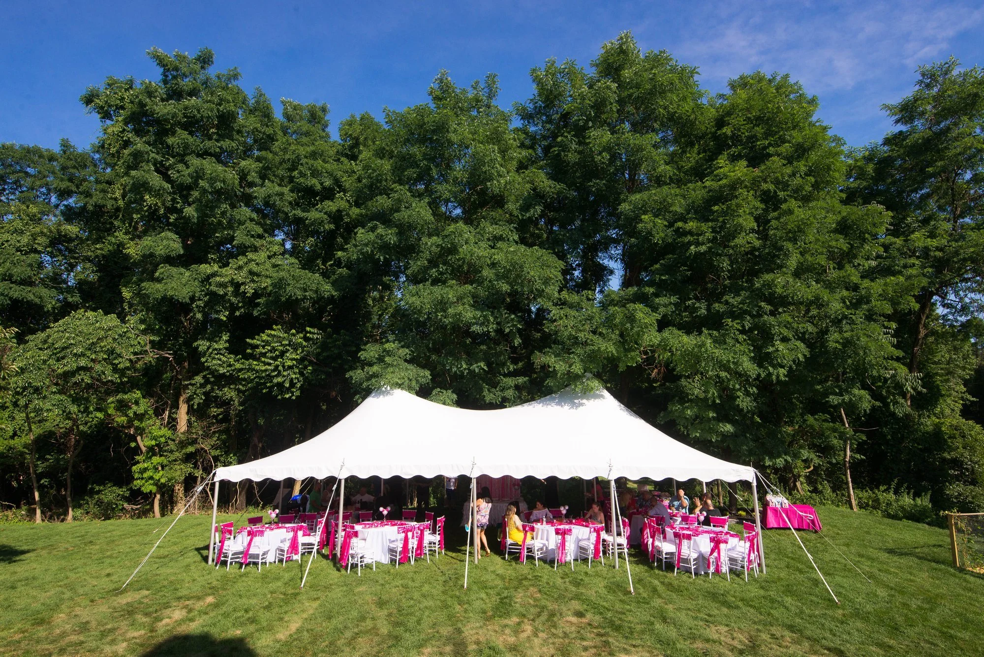 outdoor-tent-birthday-party-setup-nj.jpg