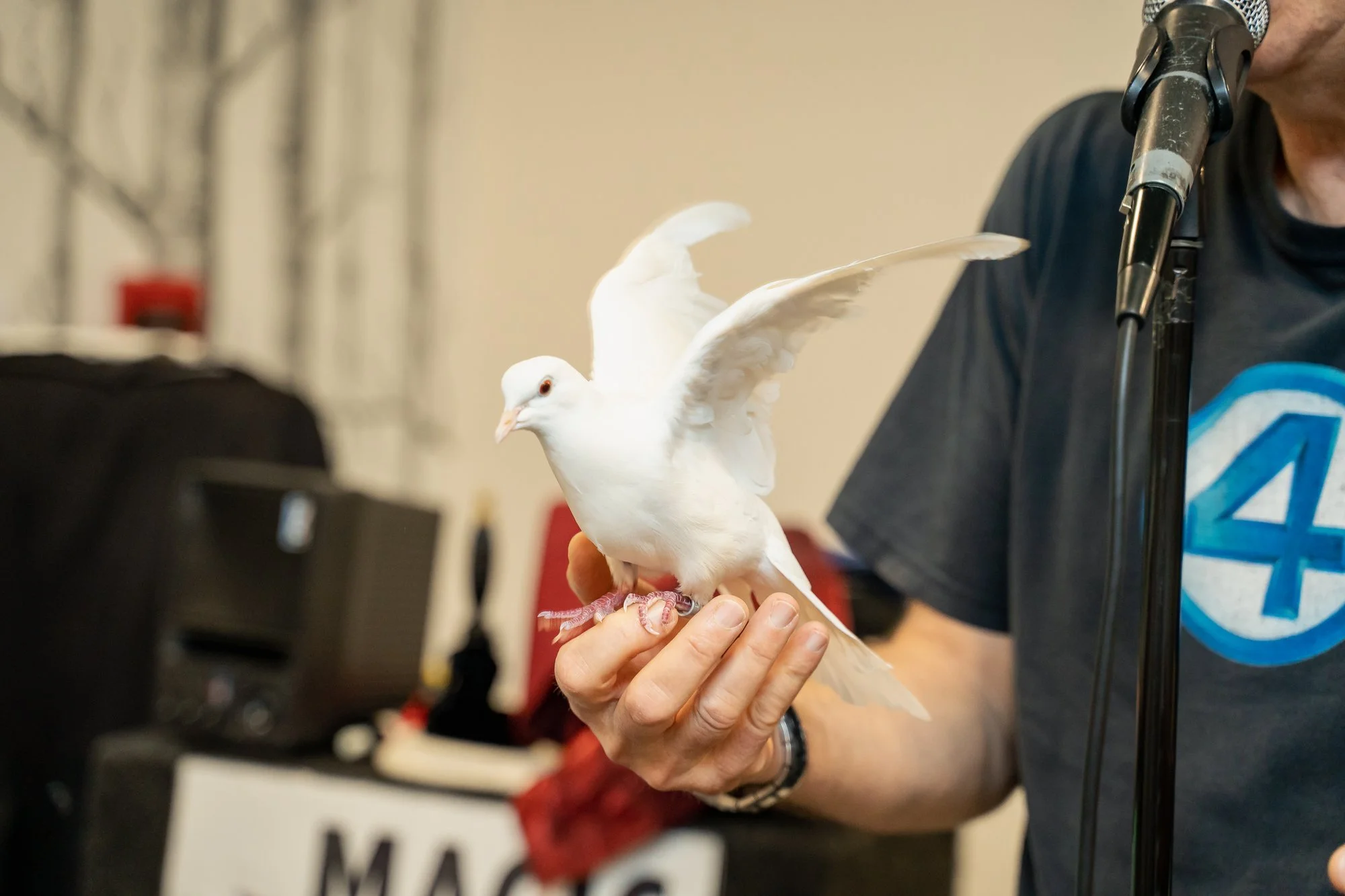 birthday-party-magic-show-dove-nj.jpg