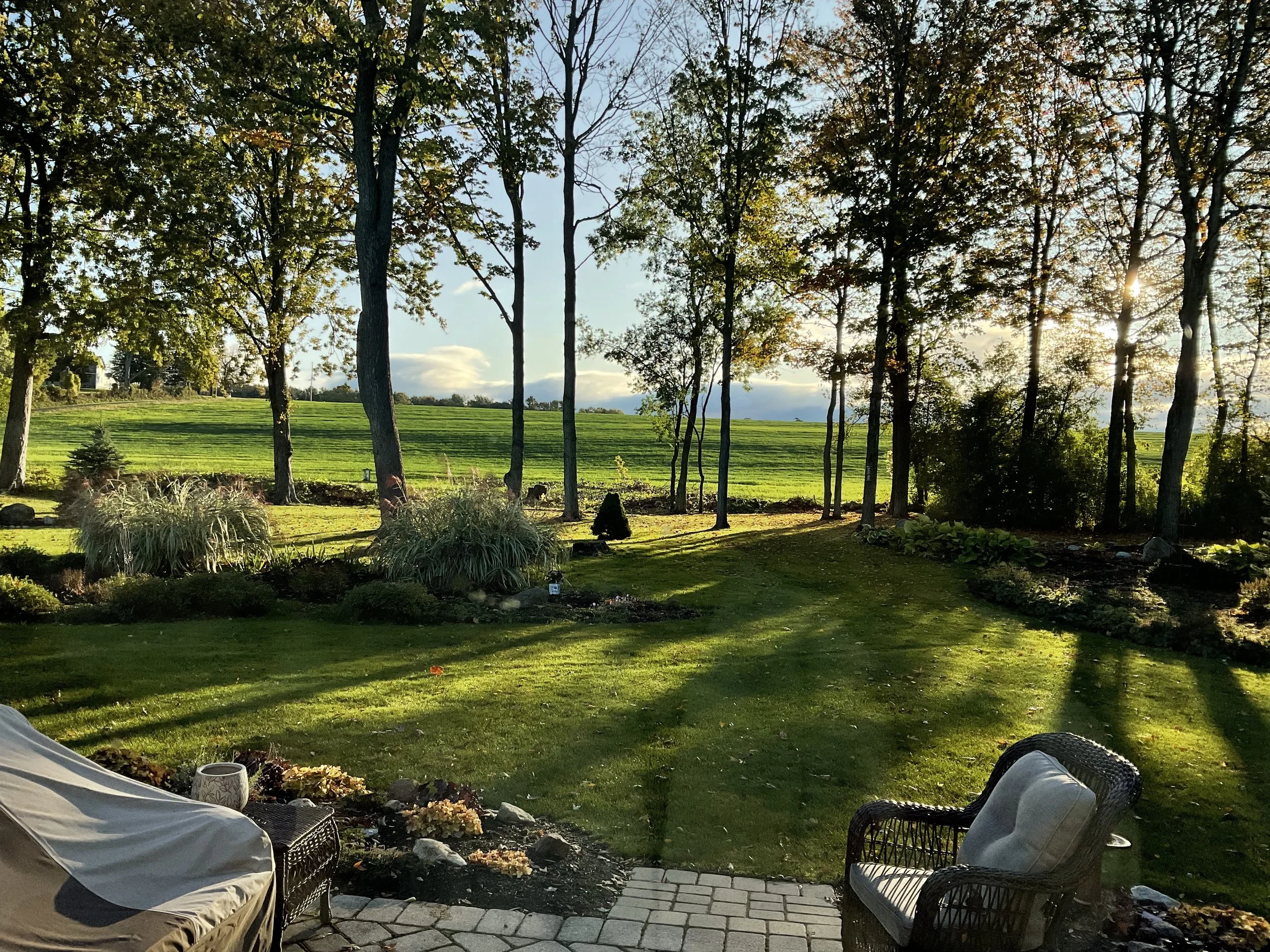 Tranquility and Creativity in the garden