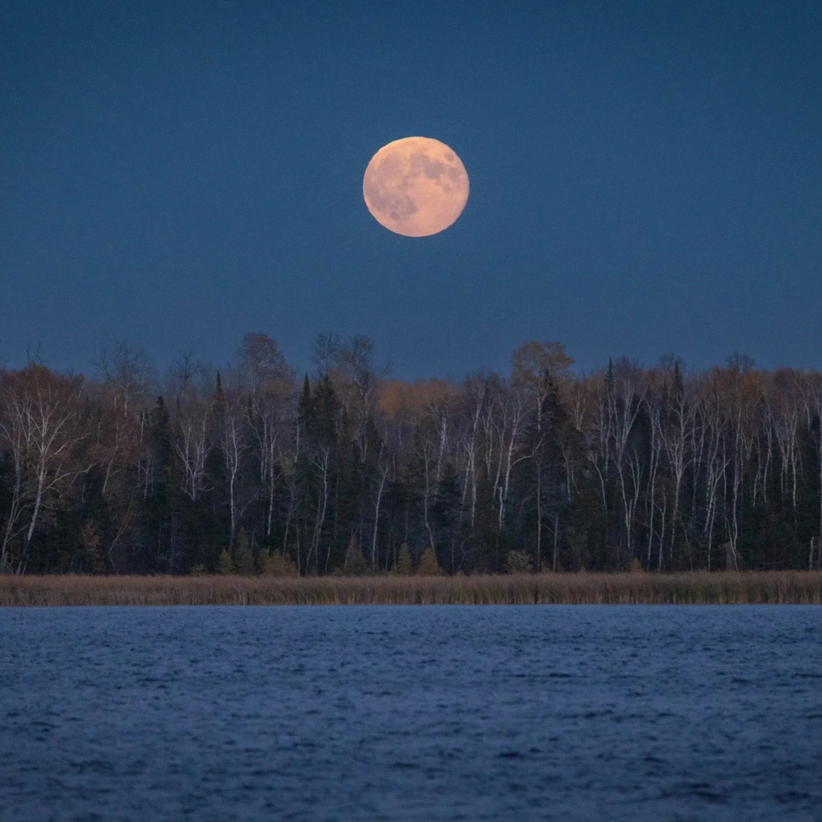 Mallard Point Resort