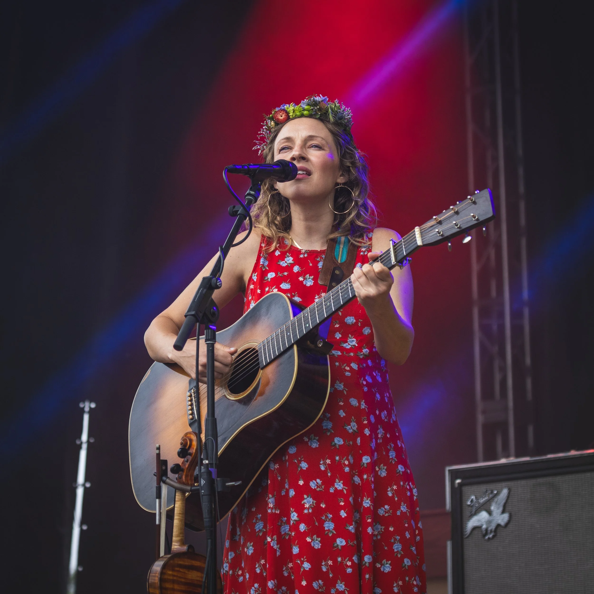 Blue Ox 2024-1104.jpg