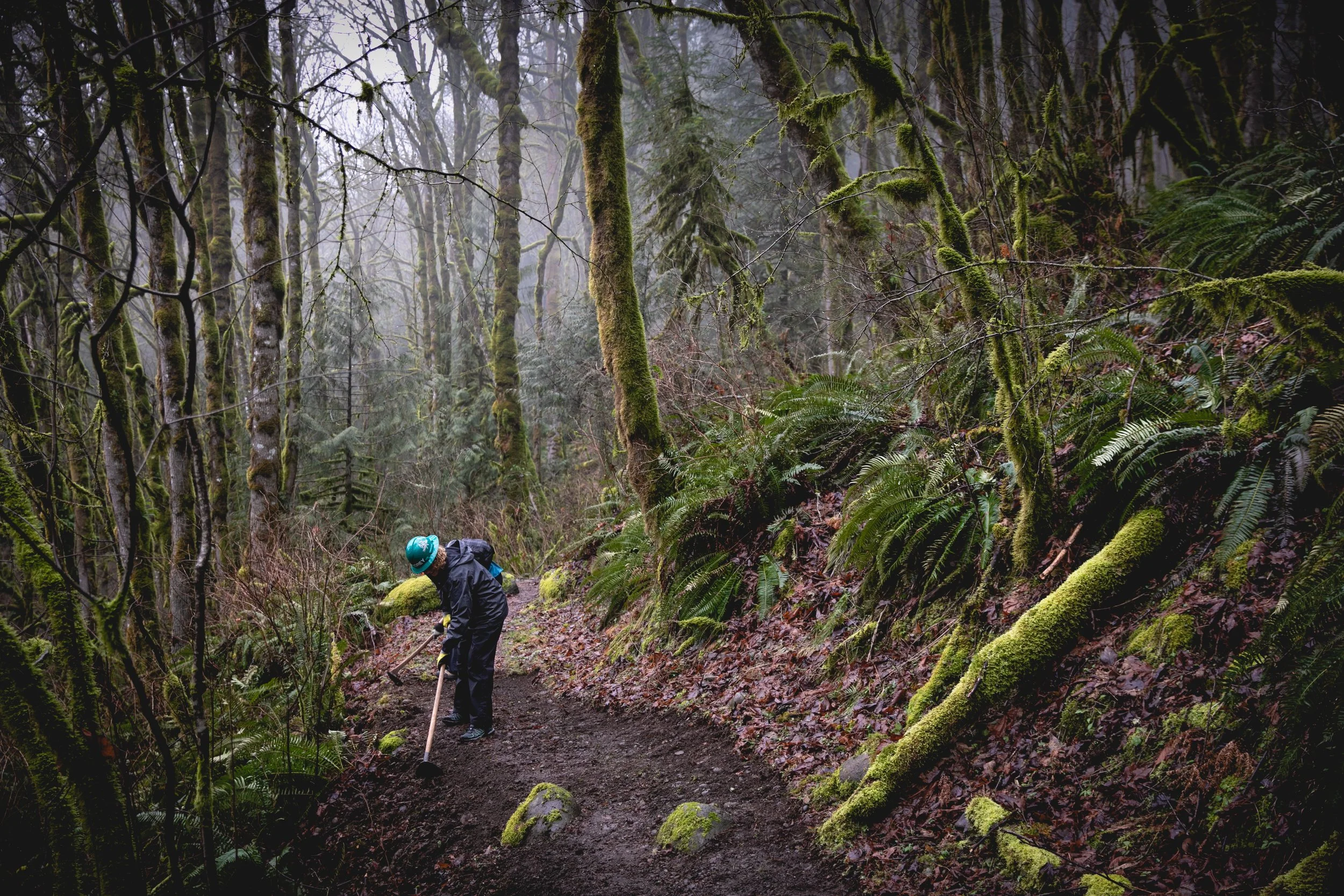 Photo of a volunteer for Trailkeepers of Oregon