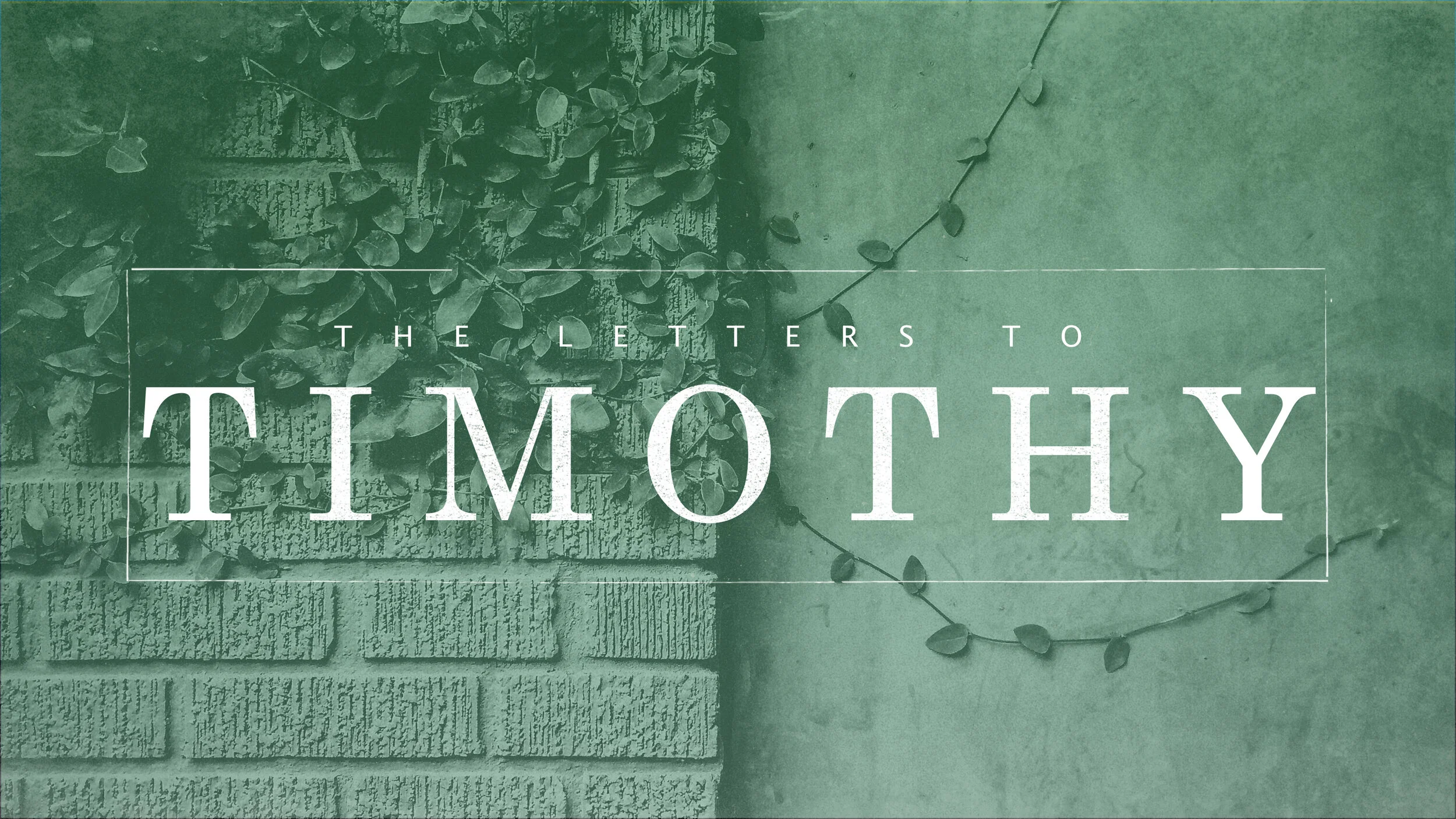 Letters To Timothy: Spirit