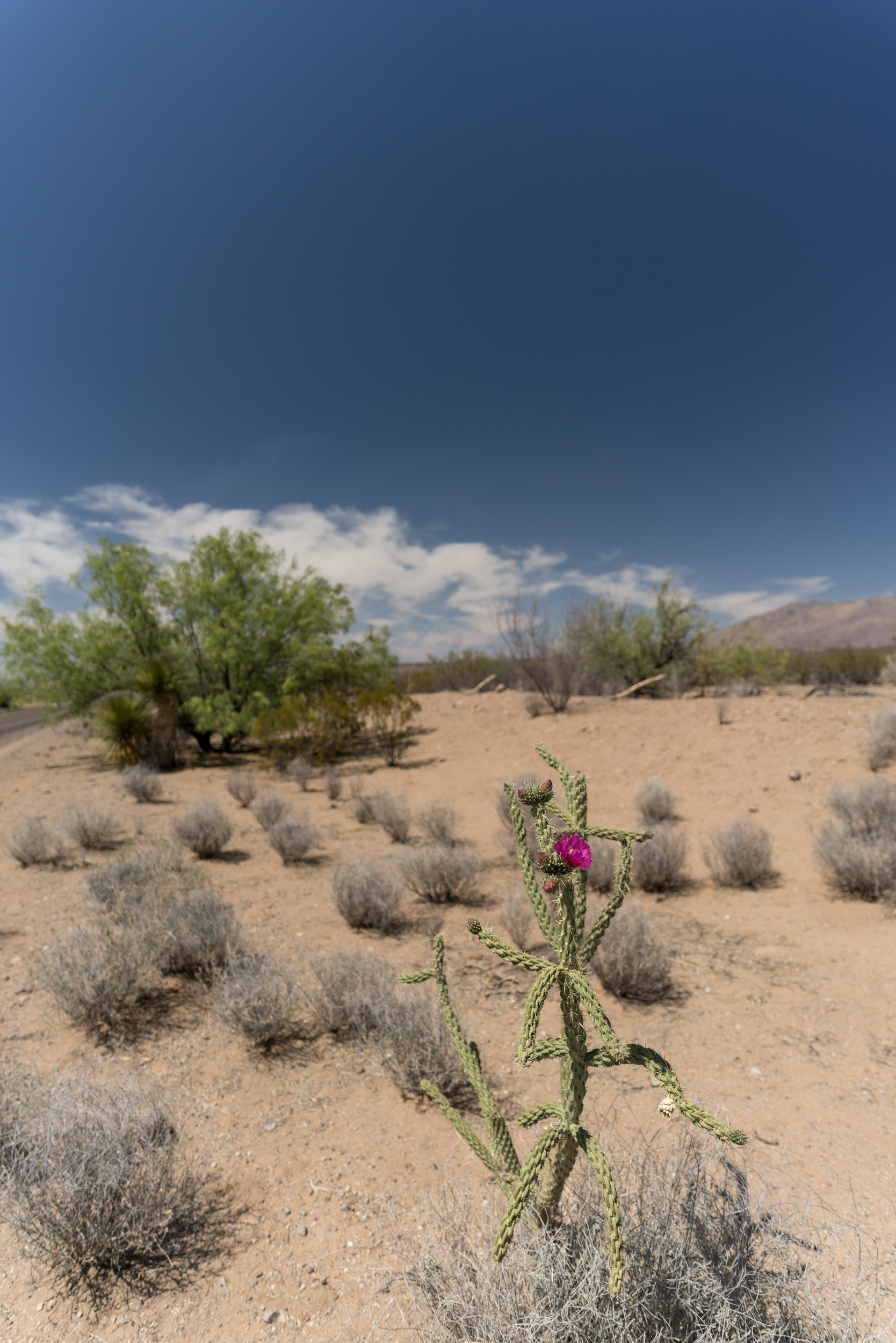 Places-7.jpg